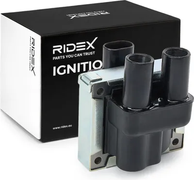 Produktbild von RIDEX 689C0012 Zündspule für FIAT PANDA (169) PUNTO (188) Panda Schrägheck (312, 319) Doblo Cargo (223) Doblo Kombi (119, 223)