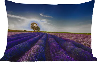 Produktbild von MuchoWow® Outdoor Kissen - Lavendel - Sonne - Baum - Blumen - Lila - 60x40 cm - Wetterfest - Lounge Kissen - Zierkissen - Kissen für Innenräume