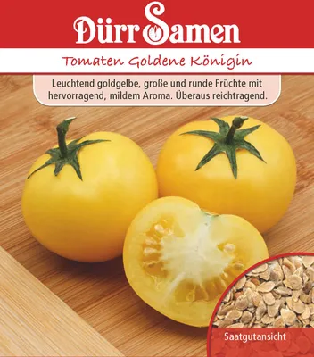 Artikelbild 1 von 'Tomate Goldene Königin' aus der Kategorie Tomatensamen
