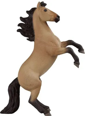 Zdjęcie produktu dla schleich 14921, 5 lat(a), Wielobarwny, Plastik