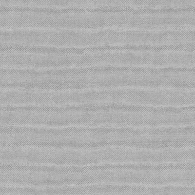 Produktbild von Rasch Vliestapete Color Your Life 312157 Uni Einfarbig Tapete 10.05 x 0.53 m Grau Wohnen Schlafen Küche Flur Eingangsbereich