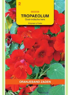 Productafbeelding van Oranjebloem (Tropaeolum Nanum Empress Of India), eenvoudig, rood - 1 zakje zaden