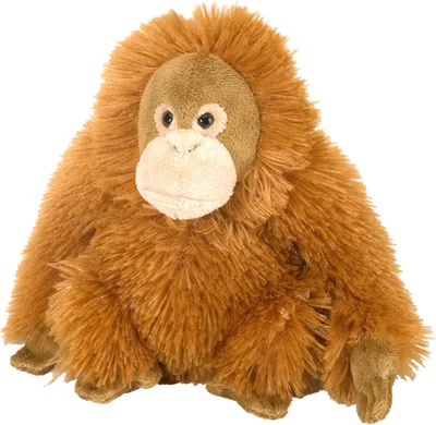 Produktbild von kuscheltier primevalang junior 20 cm Plüsch braun