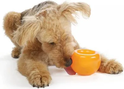 Produktbild von Planet Dog Orbee-Tuff Snoop, interaktives Spielzeug für Hunde, Snackball, orange, groß