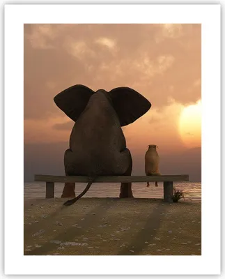 Produktbild von Poster - Poster ohne Rahmen - Elefant Ufer Meer - 40x50 cm - Wand Bild - Wanddeko - Wandbilder - Kunstposter - Wandposter - Bilder - Kunstdruck - Wanddekoration - Wandbild - P2XPA40x50-3555