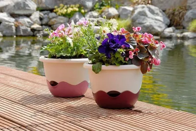 Produktbild von Plastia Blumenampel Mareta Ø 25 u. 30 cm Bewässerungsampel Hängeampel incl. Kette , Farbe:Hell + dunkel-Grün, Größe / Durchmesser:25 cm