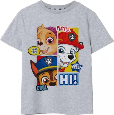Produktbild von Paw Patrol - "Peekaboo" T-Shirt für Jungen NS7746 (104) (Grau meliert)