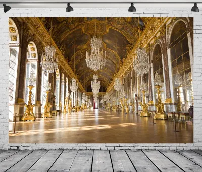 Zdjęcie produktu dla Omgoods - Tło fotograficzne "Pałac w Wersalu", wymiary 2,1 x 1,5 m