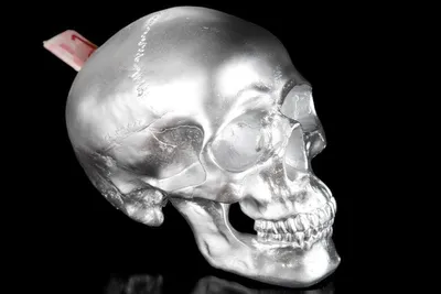 Image de Tirelire design Skull argent hauteur 14 cm, largeur 14 cm, profondeur 20 cm, tête de mort - sculpture noble en polyrésine