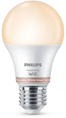 Immagine prodotto di Lampadina Philips 60W A60 E27 x2