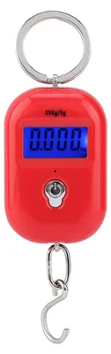 Image de Balance de poche électronique avec crochet - Balance numérique portable pour aliments - 25 kg / 5 g