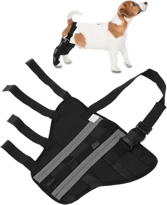 Produktbild von Hindbein-Unterstützung - Kniebandagen für Hunde - Stabile Kniepads für Hinterbeine - Tierrehabilitationshilfe - Knie-Unterstützung für Hunde - Schwarz