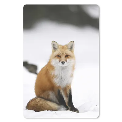 Produktbild von MuchoWow® Mauspad Mousepad Fuchs - Schnee - Winter 18x27 cm - Mousepads - Maus Mat - Pad - Mausunterlage