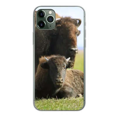 Produktbild von MuchoWow® Handyhülle Schutzhülle Hülle für iPhone 11 Pro Max Büffel - Gras - Kalb Silikon Softcase Handy Hülle - Schutz