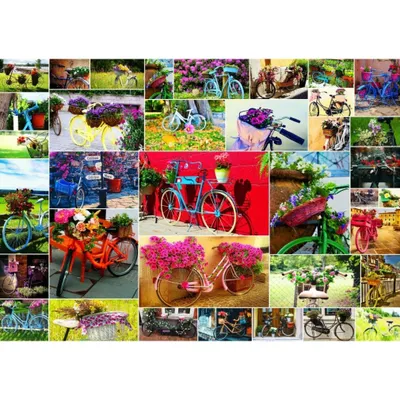 Image de GRAFIKA Puzzle Collage : Roues 1500 pièces