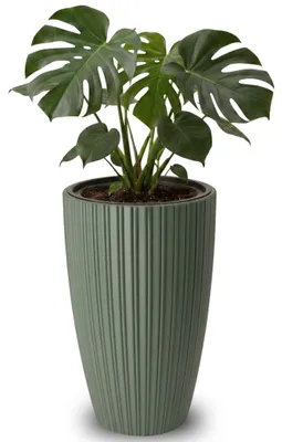 Imagen del producto de Macetas grandes para exteriores ZENTO, color verde salvia, de 29 x 48 cm
