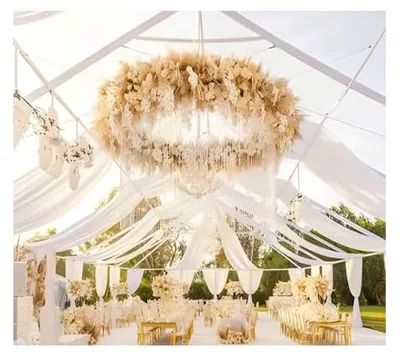 Tüll-Vorhang für Hochzeit, transparent, 75 x 800 cm, Champagner