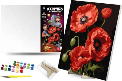 Image de Peinture par numéros - Coquelicots rouges 40x50cm