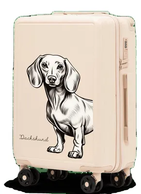 Image de Valise cabine, en ABS, roulettes pivotantes à 360°, beige