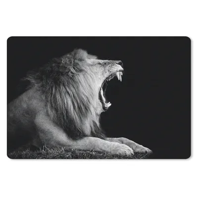 Produktbild von MuchoWow® Mauspad Mousepad Löwe - Wildtiere - Gras - Schwarz - Weiß 27x18 cm - Mousepads - Maus Mat - Pad - Mausunterlage - Büroartikel - Desk Matten