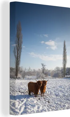 Produktbild von OneMillionCanvasses® - Leinwandbilder - 90x140 cm, Schottisches Hochlandrind - Licht - Schnee, Wandbilder Wohnzimmer Hochland Rind - Tier Wanddekoration - Hochland Rind - Kuh - Gemälde auf Holzrahmen - Wandschmucke - Schlafzimmer