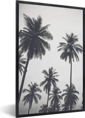 Produktbild von MuchoWow® Gerahmtes Poster Palme - Tropisch - Natur 60x90 cm - Poster mit Schwarzem Bilderrahmen Wandposter Rahmen Foto Bilder - Kunst
