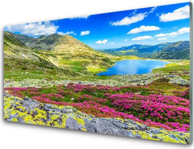 Produktbild von Küchenrückwand aus Glas 100x50cm Spritzschutz Gebirge Bucht Wiese Natur