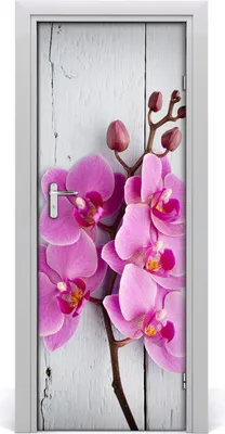 Produktbild von Tulup Türaufkleber 75x205 cm Dekorative Aufkleber Selbstklebend Wasserdichte Tapete Abnehmbar Schlafzimmer Wohnzimmer Wohnkultur - Wandtattoo rosa Orchidee