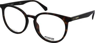 Produktbild von Polaroid Sonnenbrille PLD D379 086 53 18 145
