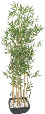 Produktbild von EUROPALMS Zierbambus in Dekoschale, künstlich, 150cm (82509262)