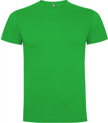 Produktbild von Roly Men´s Dogo Premium T-Shirt