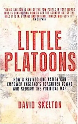 Obrázek produktu pro Little Platoons