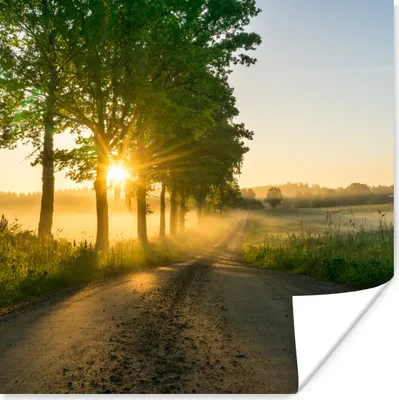 Produktbild von MuchoWow® Poster Sonnenaufgang durch die Bäume 100x100 cm - Babyzimmer