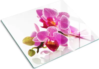 Obrázok produktu pre Sklenená ochranná doska – Kryt varnej dosky – Kryt na indukčnú dosku – 60x52 cm – Rýchle čistenie – Tvrdené sklo – Kvety orchideí