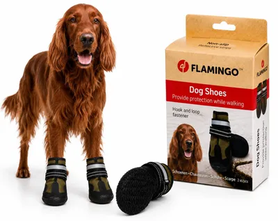 Produktbild von hundeschuhe - Glea - 2 Stück - grün - L - 8,1x7,4x13,6 cm - Polyester - Harte So