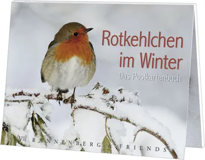 Produktbild von Postkartenbuch Rotkehlchen im Winter Postkartenbücher Ansichtskarte Postkarte Tier