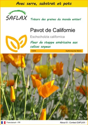Image de SAFLAX Ensemble de culture - Pavot de Californie - 1500 graines - Eschscholzia