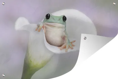 Produktbild von MuchoWow®