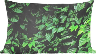 Produktbild von MuchoWow® Zierkissen Sofakissen Wohnzimmer Dekokissen 50x30 cm Grüne Blätter - Wohnzimmerdekoration - Polster mit Photo