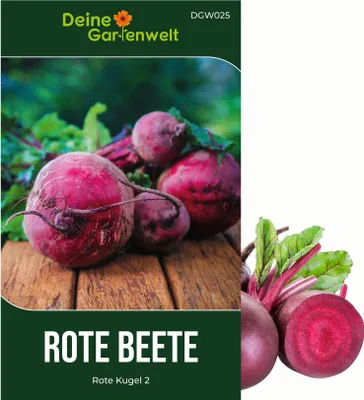 Produktbild von Rote Beete Rote Kugel 2 Samen - Beta vulgaris - Rübensamen - Gemüsesamen - 3 g Saatgut