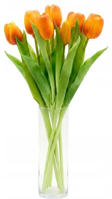 Zdjęcie produktu dla Sztuczne tulipany Silikonowy bukiet kwiatów 7 sztuk Realistyczna dekoracja do wazonu
