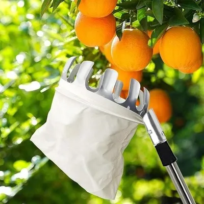 Produktbild von Obstpflücker für Kirschen und Pflaumen – 3 m Länge – mit Baumwollbeutel