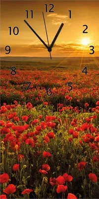 Produktbild von Wallario Design Wanduhr bedruckt, Größe 30 x 60 cm, Motiv: Mohnblumenwiese bei Sonnenuntergang am Abend