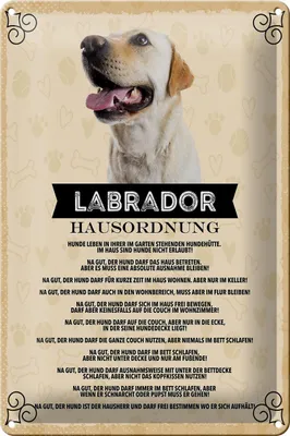 Produktbild von Blechschild Spruch 20x30cm Labrador Hausordnung