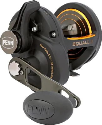 Zdjęcie produktu dla PENN Squall II SQlII50LD Multirolle