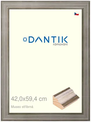 Zdjęcie produktu dla Ramka DANTIK 42x59,4 | Museo silver (Plexi Clear)