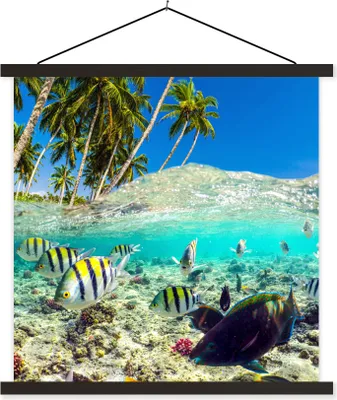 Produktbild von MuchoWow® Textilposter Meer - Fische - Korallen 120x120 cm mit schwarzem Rahmen - Aufhängungsset