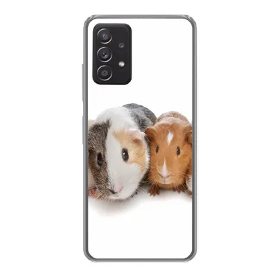 Produktbild von MuchoWow® Handyhülle Schutzhülle Hülle für Samsung galaxy a73 Fünf Meerschweinchen Silikon Softcase Handy Hülle - Handyhülle
