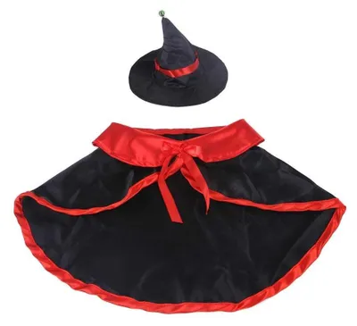 Obrázok produktu pre Halloweenový kostým pre domáce zvieratá s klobúkom a krídlami