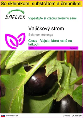 Obrázok produktu pre SAFLAX Kultivačný set - vajíčkový strom - Solanum melonga - 20 Semená - S mini skleníkom, pestovateľským substrátom a 2 črepníkmi